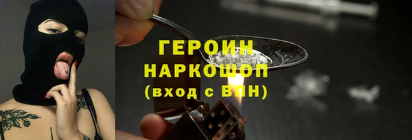 сатива Новозыбков