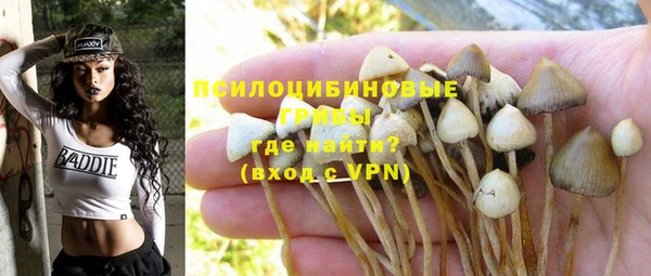мескалин Нефтегорск