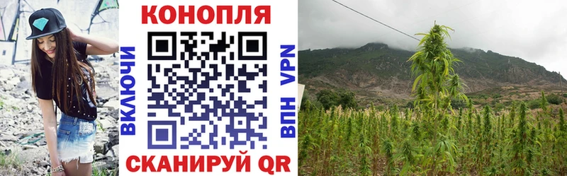 Купить  Собинка  Конопля Ganja 